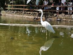 -海南热带野生动植物园