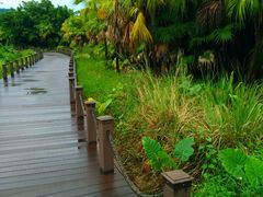 -星河国际影城(新会店)