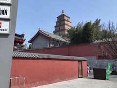 -大慈恩寺(大雁塔)