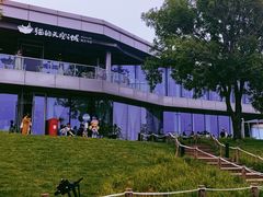 -猫的天空之城概念书店(北戴河蔚蓝海岸店)