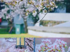 -苏州上方山国家森林公园