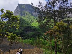 -鹿院坪生态旅游景区