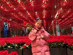 -福州奇幻解压馆(东泰禾旗舰店)