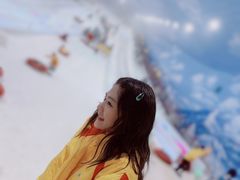 -世界之窗阿尔卑斯冰雪世界