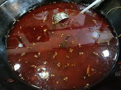 -烧哥美蛙肥肠鱼火锅·十五年社区店