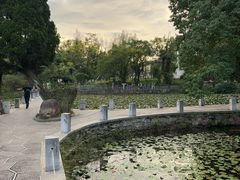 -花溪公园