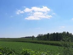 -呷哺呷哺(哈尔滨红博购物广场店)