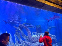 -波塞冬旅游度假区