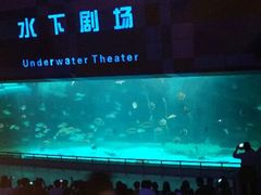 android_upload_pic-泉城欧乐堡海洋极地世界