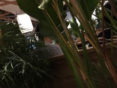 -大头椰·椰子鸡火锅(南宁万象城店)