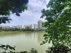 -广东花都湖国家湿地公园