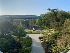 -深圳仙湖植物园