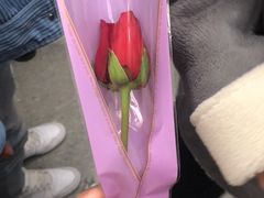 -海底捞火锅(振华广场店)