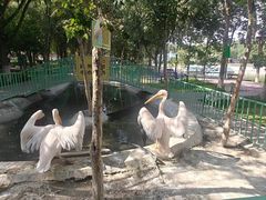 -水上乐园·欢乐世界