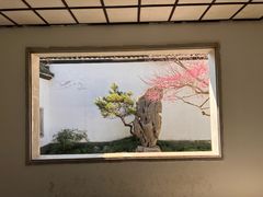 -杭州植物园