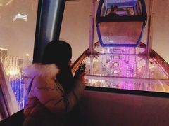 -星城之眼摩天轮