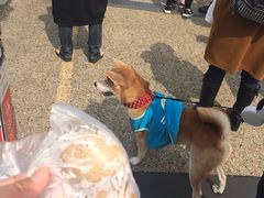 -金盆阿嬷香菇茶叶蛋(玄光店)