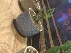 -雷门拉面店(新光天地店)