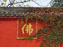 -成都市文殊院