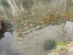 -沕沕水生态风景区