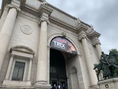 -美国自然历史博物馆