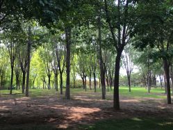 -大望京儿童游乐场