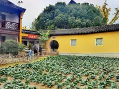 -重元寺香积厨素斋馆