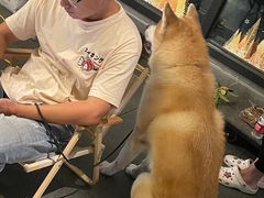 -周震馄饨(雅达阳羡溪山店)