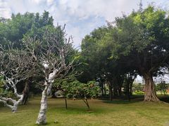 -南宁南湖公园