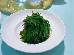 -新疆兵团食府清真(马连道店)