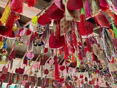 -西双版纳原始森林公园