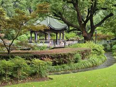 -申粤轩酒楼·三十年粤菜经典(丁香花园店)