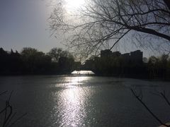 iphone_upload_pic-紫竹院公园冰场