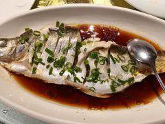 -金美华轩(东方路齐鲁店)