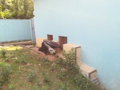 -无锡动物园·太湖欢乐园