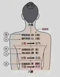 -名发世家烫染