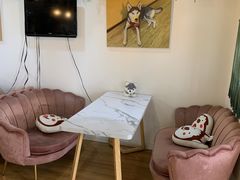 -Husky Go! 哈士奇体验馆·宠物咖啡厅狗咖