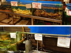 -真浪大家乐海鲜餐馆