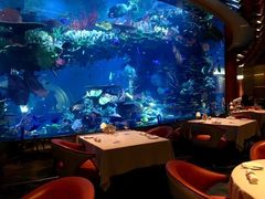 -迪拜帆船酒店海底餐厅