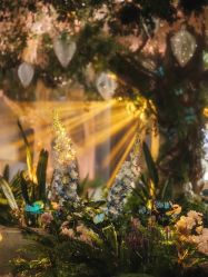 点击看大图 -深圳香格里拉大酒店·宴会厅