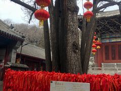 -红螺寺