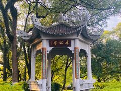 -江心屿景区