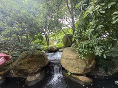 -上海浦东星河湾酒店