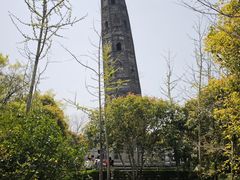 -上海佘山国家森林公园天马山园