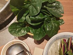 -巴奴毛肚火锅(京西大悦城店)