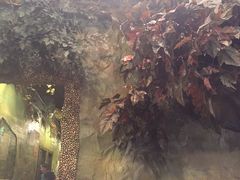 八斗鸡·私家菜馆(国贸店)-八斗鸡·湘土菜(国贸店)