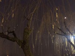 -楼外楼·停车场