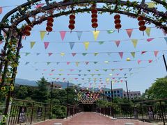 -九屋西岭生态度假景区