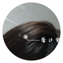 -BOF HAIR BY HONTO