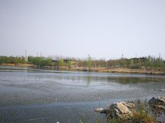 -马家湾湿地公园